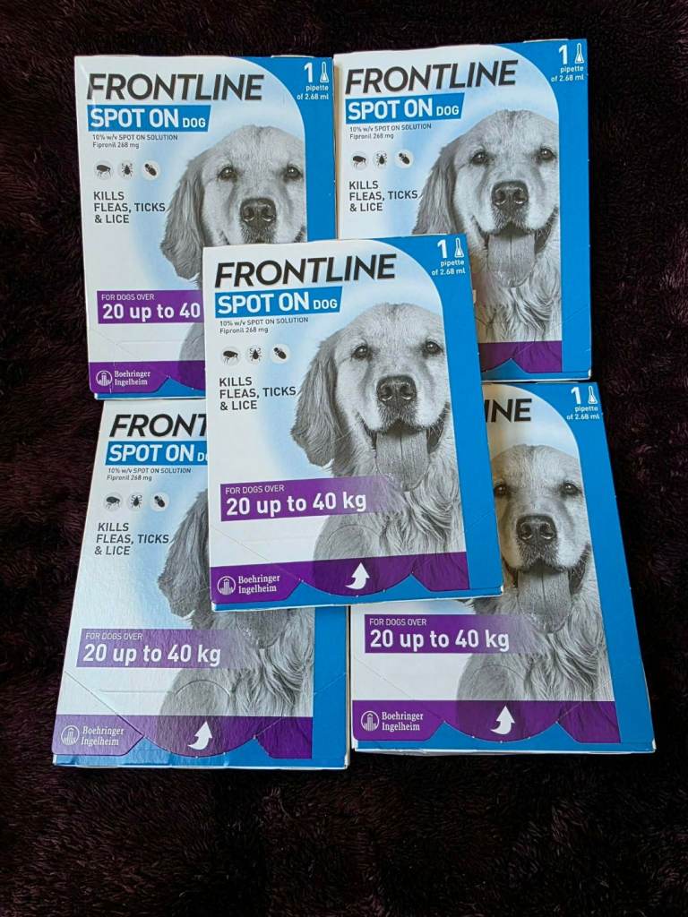 Brand new frontline 