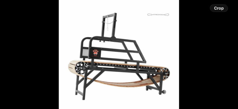 Dog treadmill 