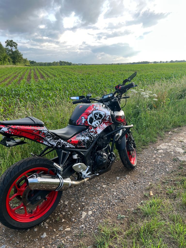 Yamaha MT-03 Crash Cage