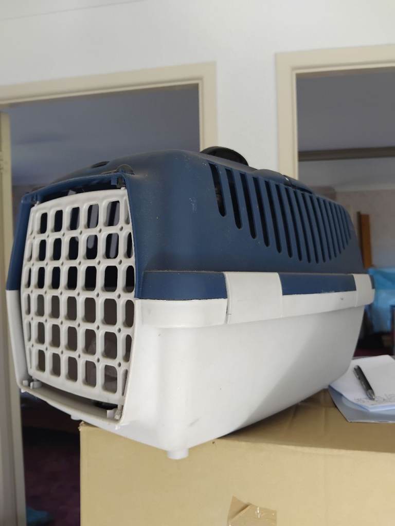 Cat carrying boxes x 2