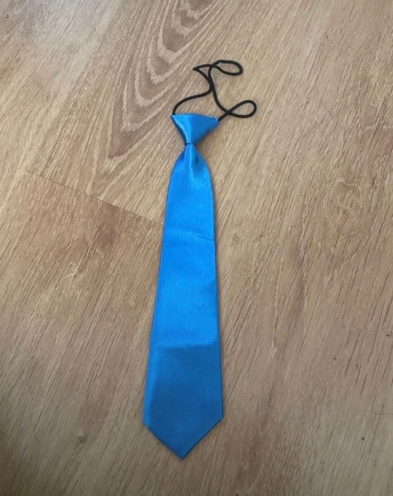 Tie. Boys silk slip on tie in blue (New)
