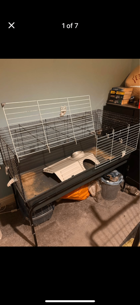 Guinea pig Ferplast cage & stand 