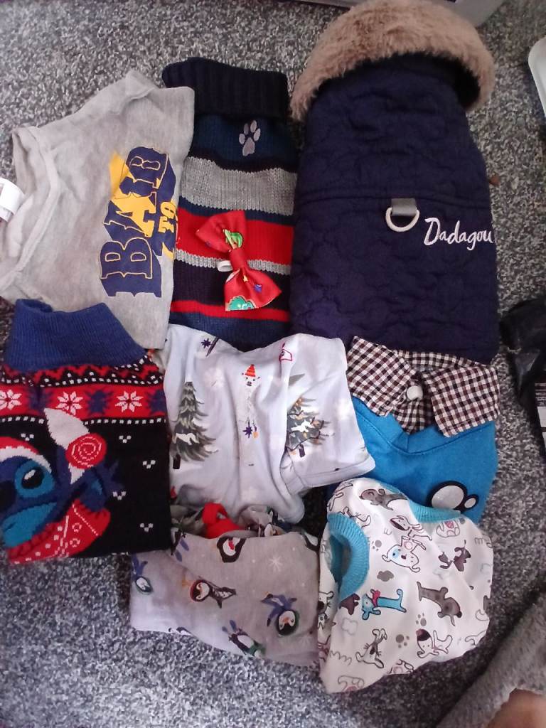 Various dog items.