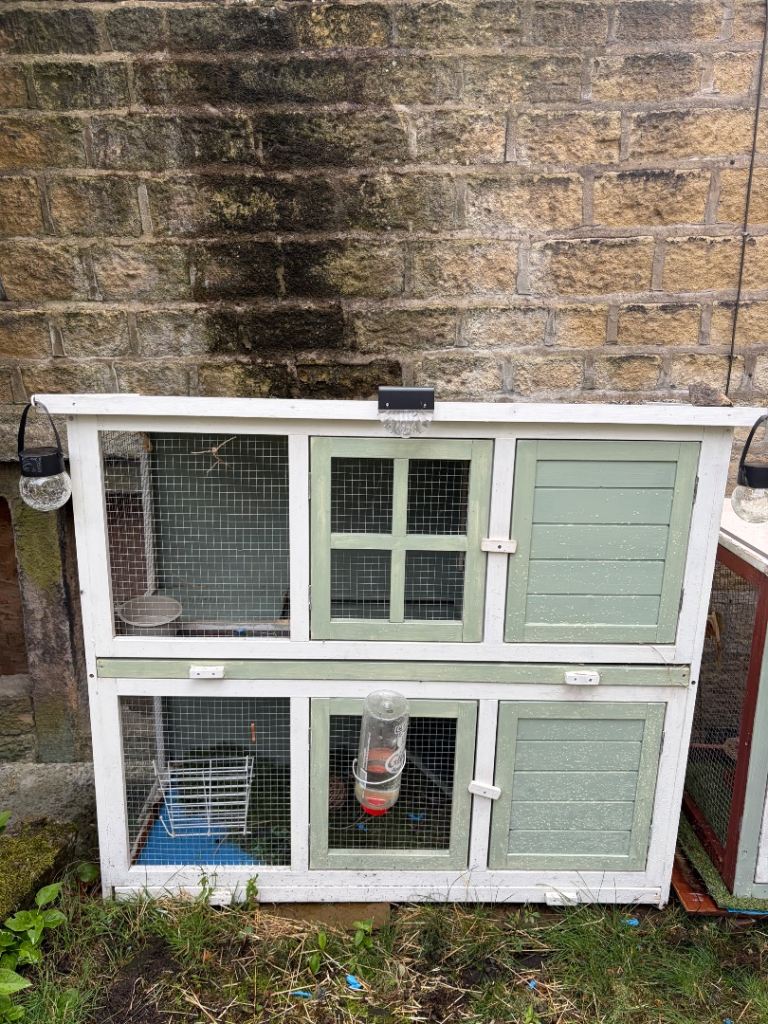 Animal cage 
