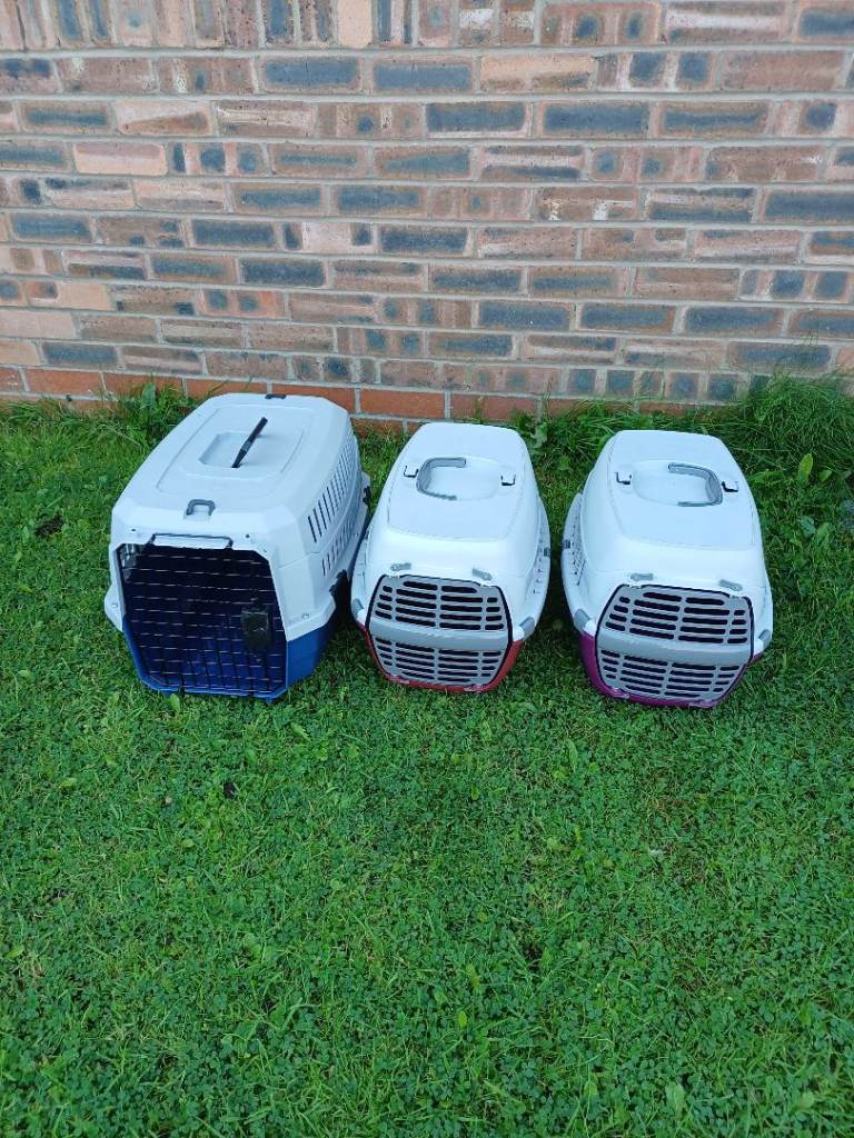 PET CARRIERS MEDIUM £10 LARGE £15 DARWEN BB3 0DU 