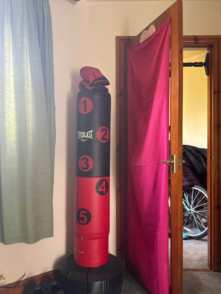 Everlast Freestanding Punch Bag with Gloves – Good Condition