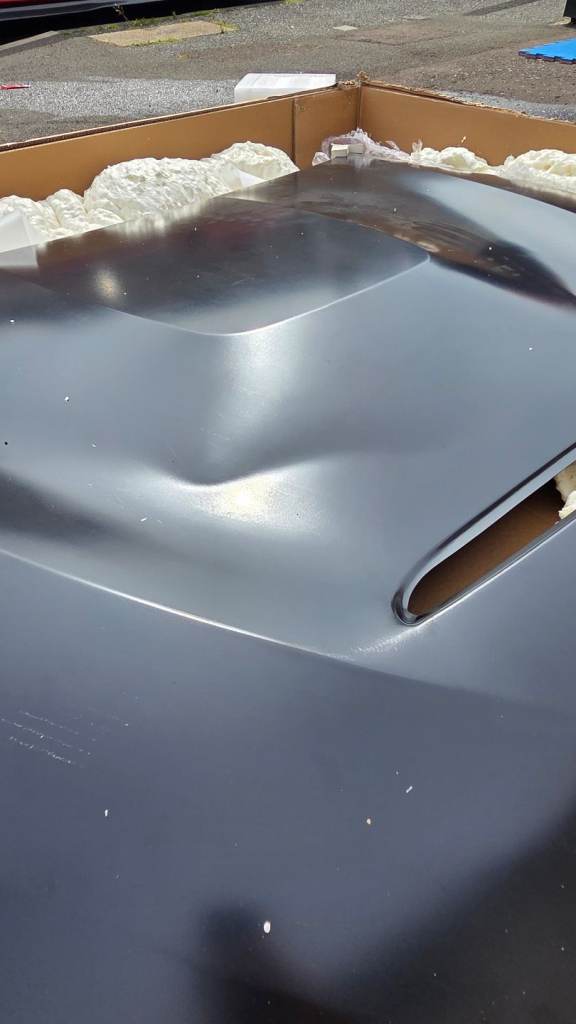 Bmw m4 f82 gts bonnet 