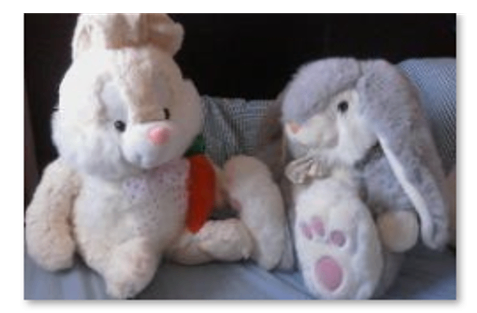 Pair of Cute Bunny Rabbit Soft Toys – Good Condition