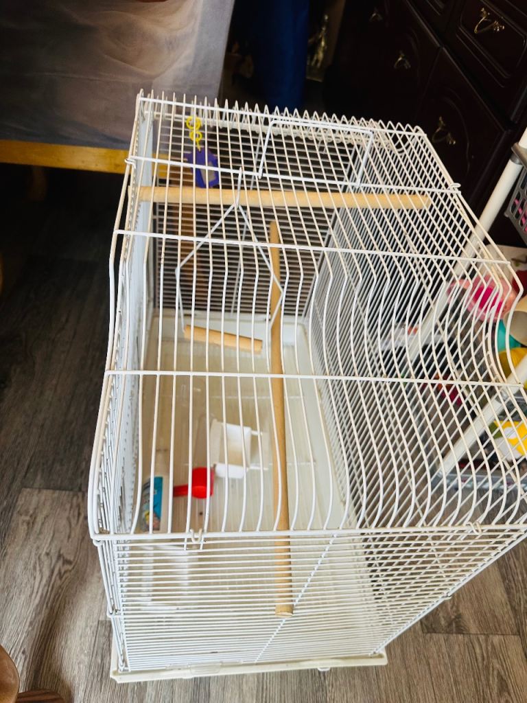 Bird cage