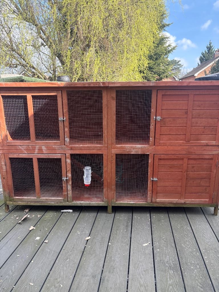 Pets at Home rabbit cage