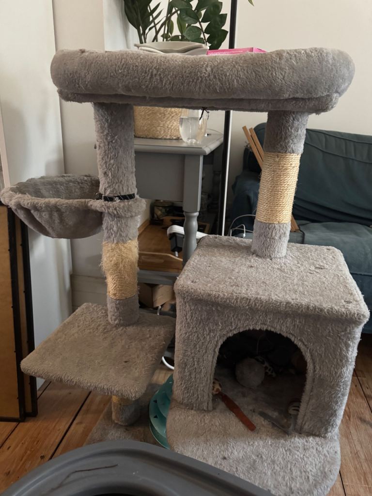 Cat accessories bundle 