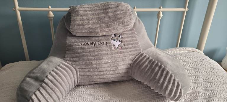 Brand new dog reading pillow 