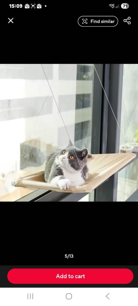 Cat Window Hammock 