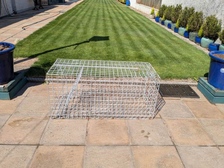 Foxtrap galvanised large. 