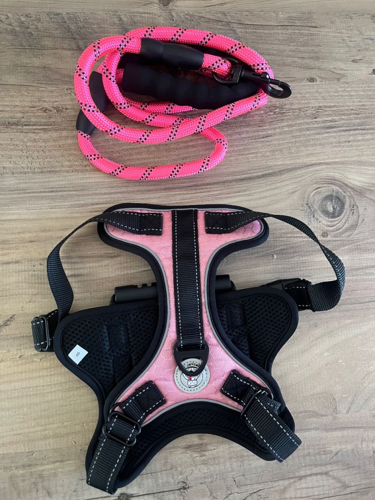 Dog harness and lead pink size small new