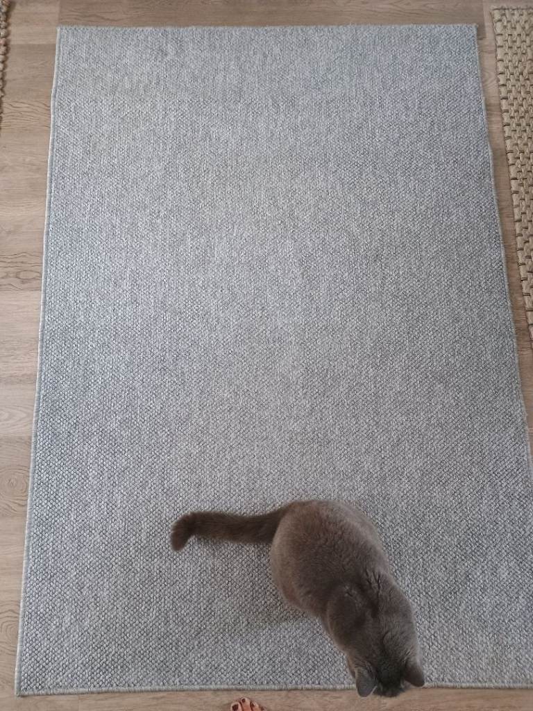 *FREE* light grey rug