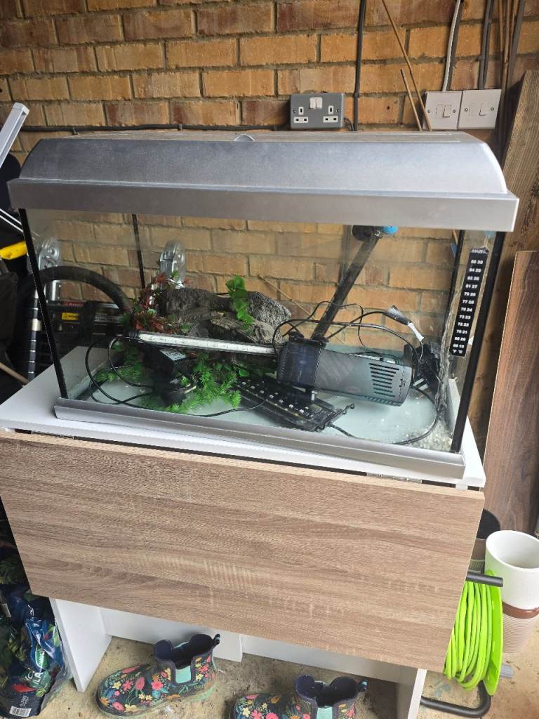 Fish tank