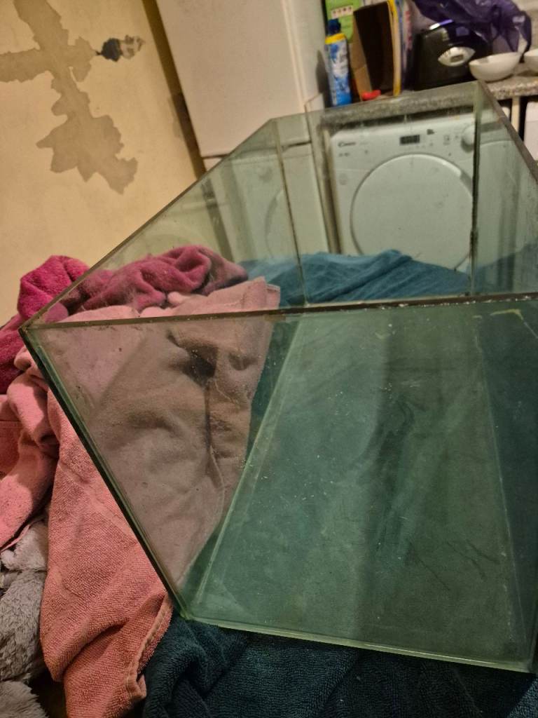 Aquarium equipment wanted