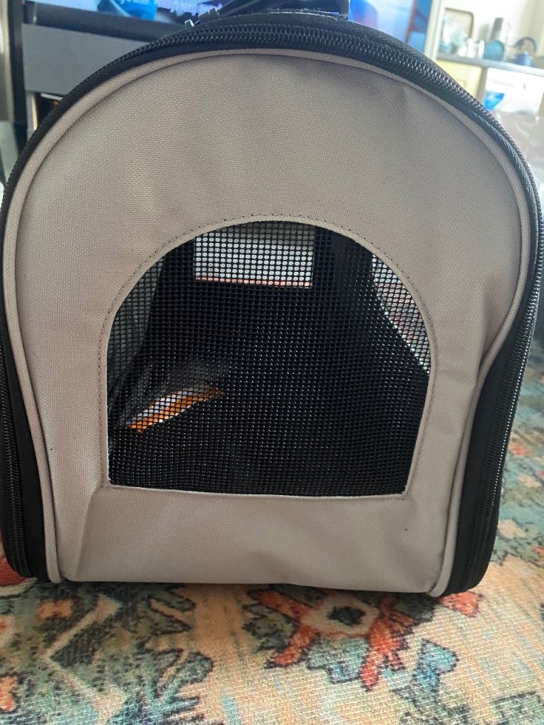 Compact Pet Carrier Backpack - Grey, New
