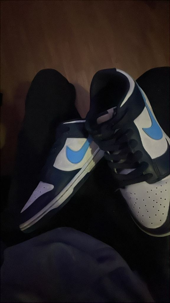 Nike dunks 