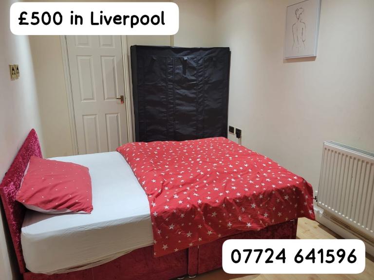 Clean and quite room in a family home