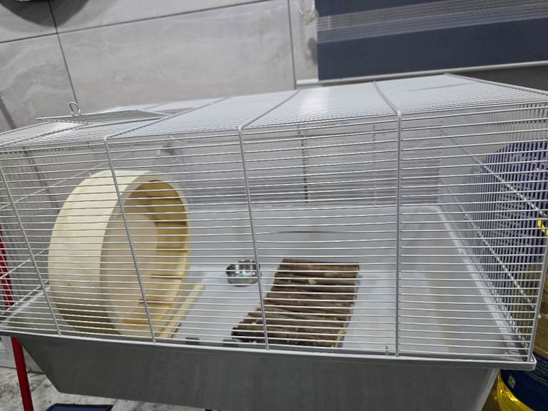 2 hamster cages