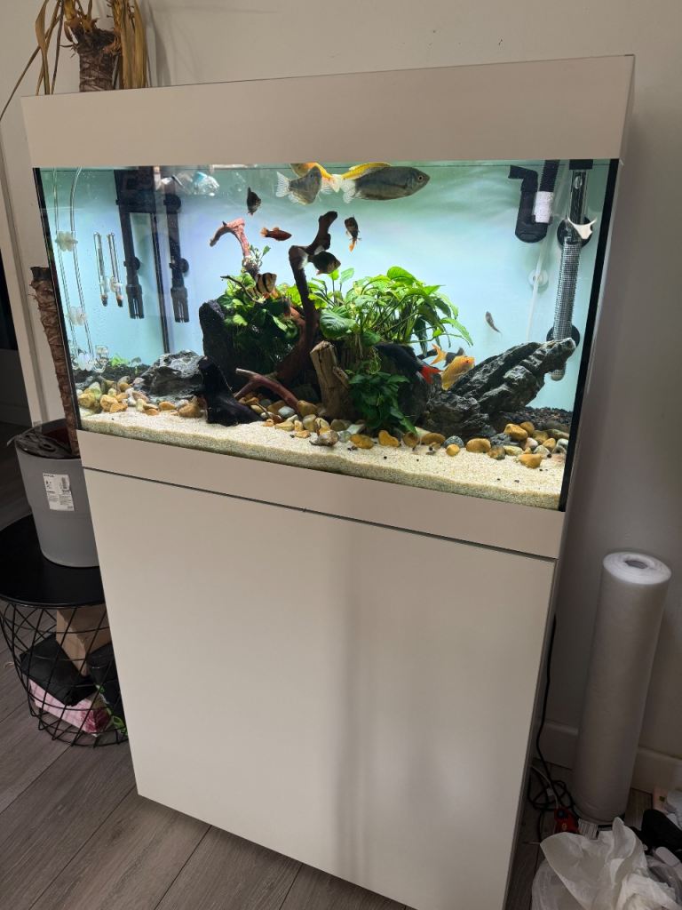 Oase styleline 125 AQUARIUM 