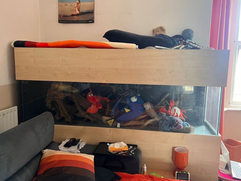 6ft Aquarium with stand