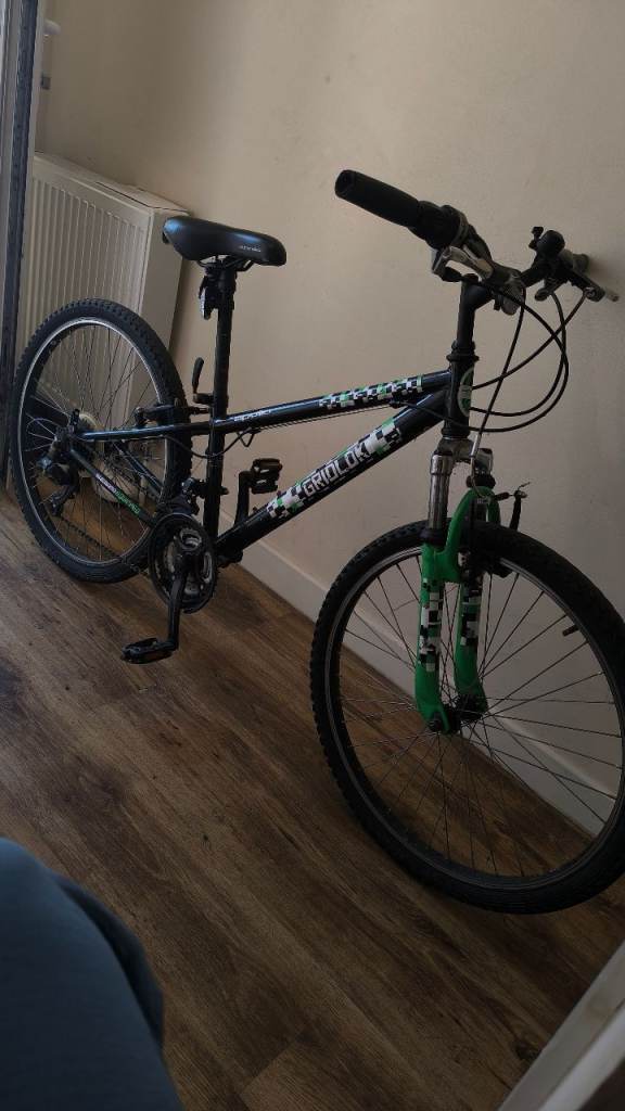 Bicycle for age 10 to teenage 