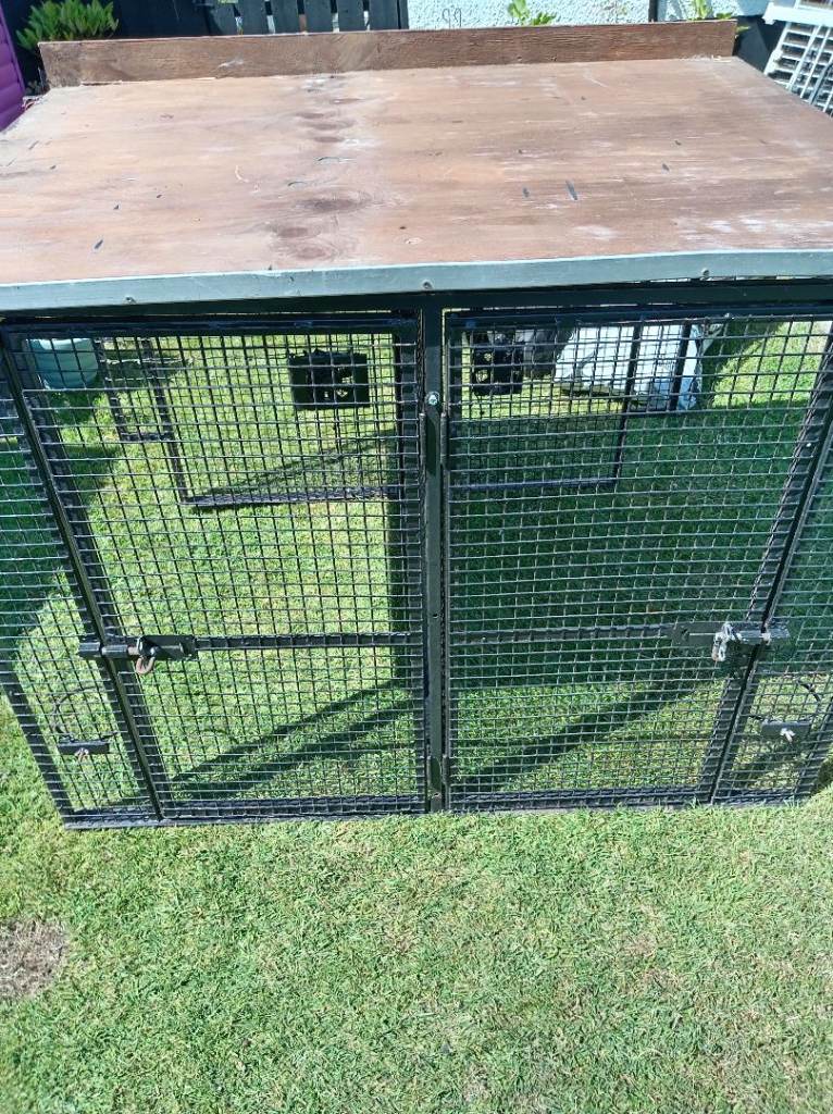 Heavy dog cage for van