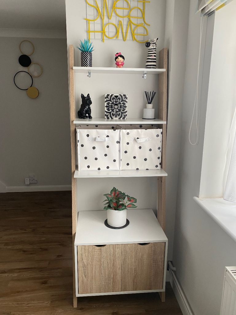 Storage display ladder shelf