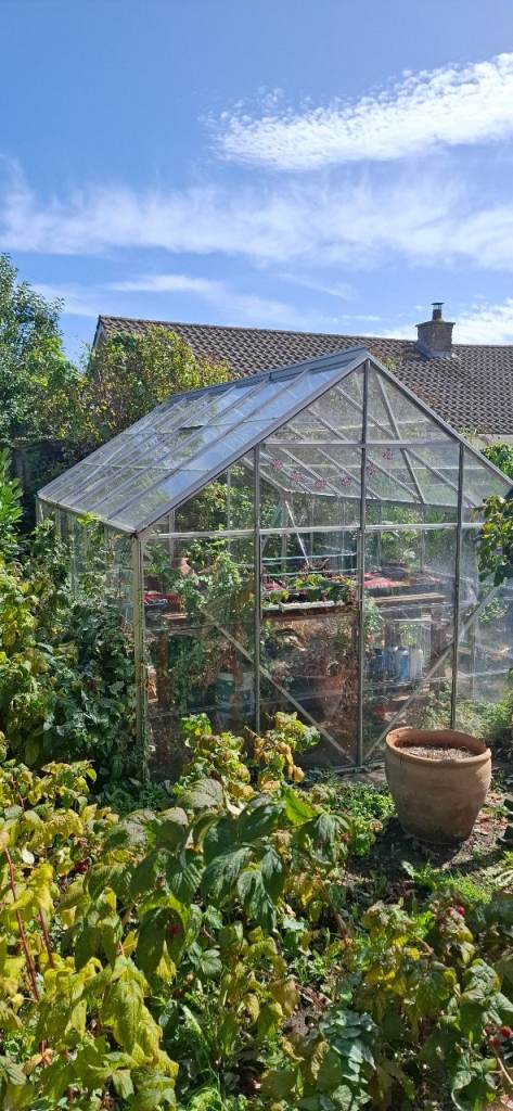 Aluminium Greenhouse - Good Condition, Ready for New Garden
