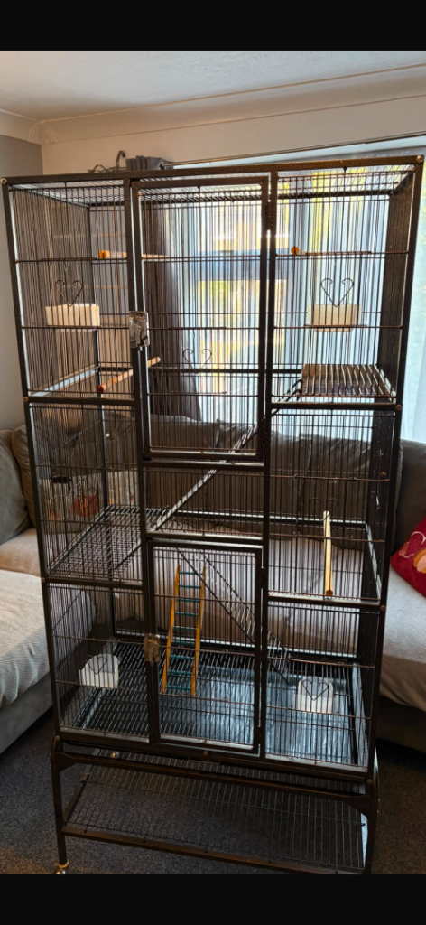 Bird cage for sale 