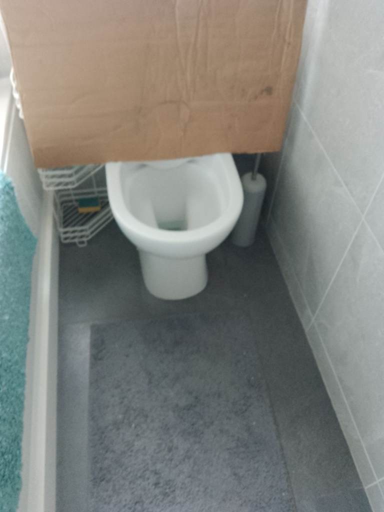 Toilet bowl l