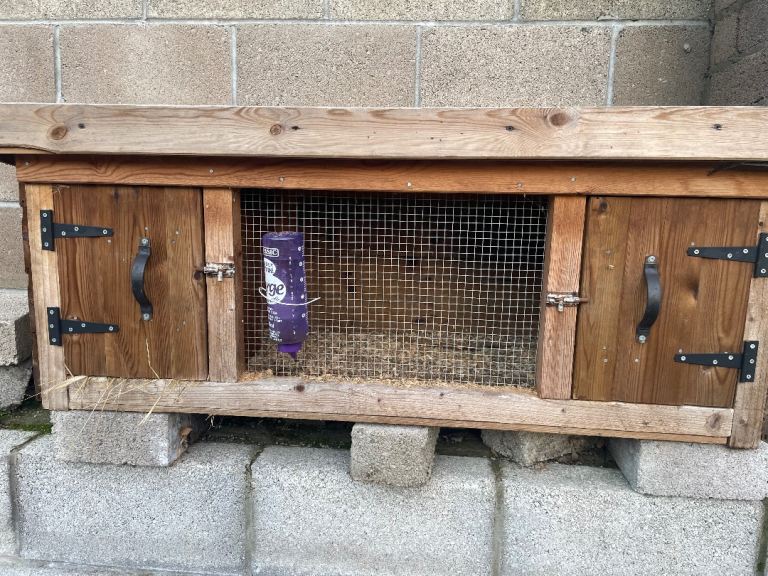 Rabbit hutch 