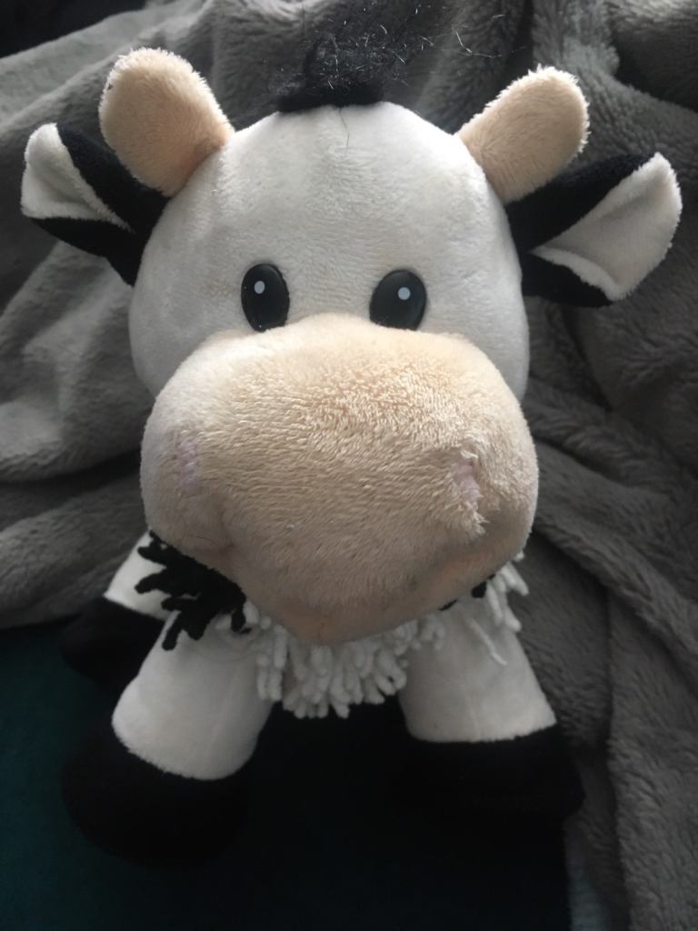 CUDDLES TIME SOFT TOY LAMB
