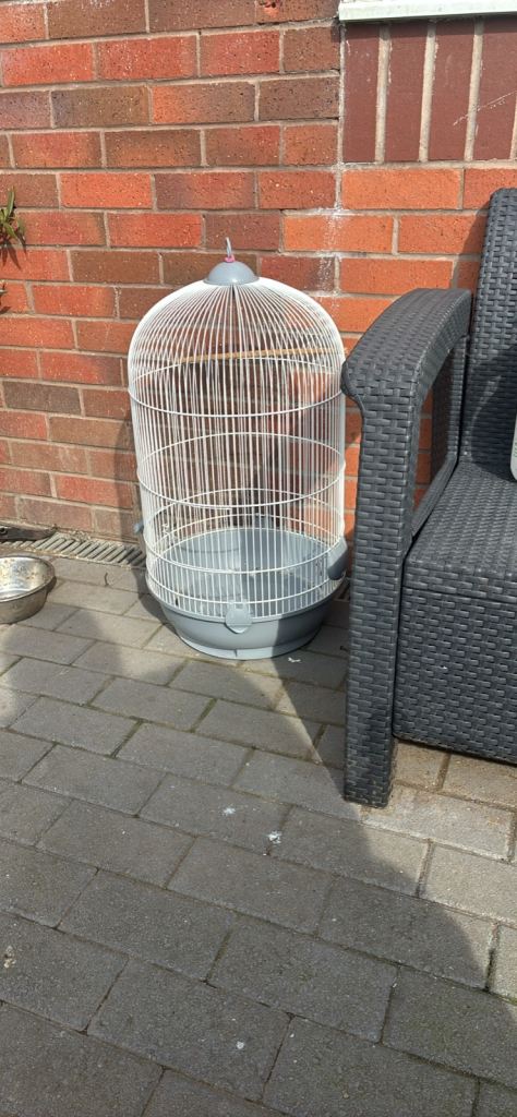 Bird cage 