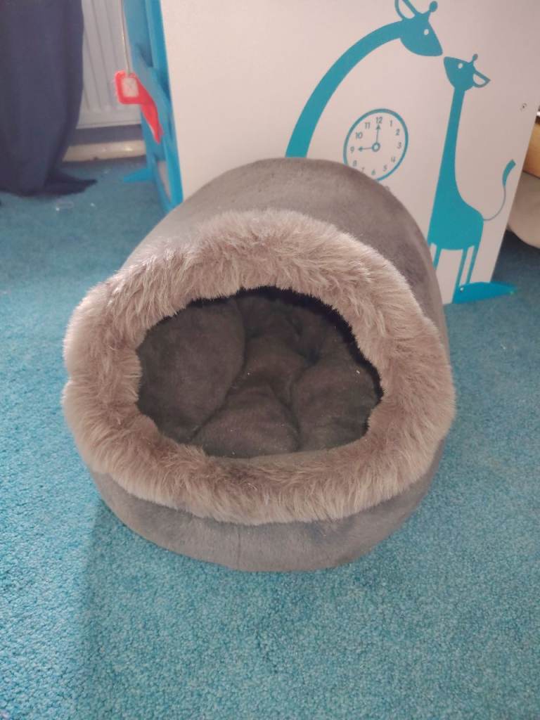 Fluffy cat bed 