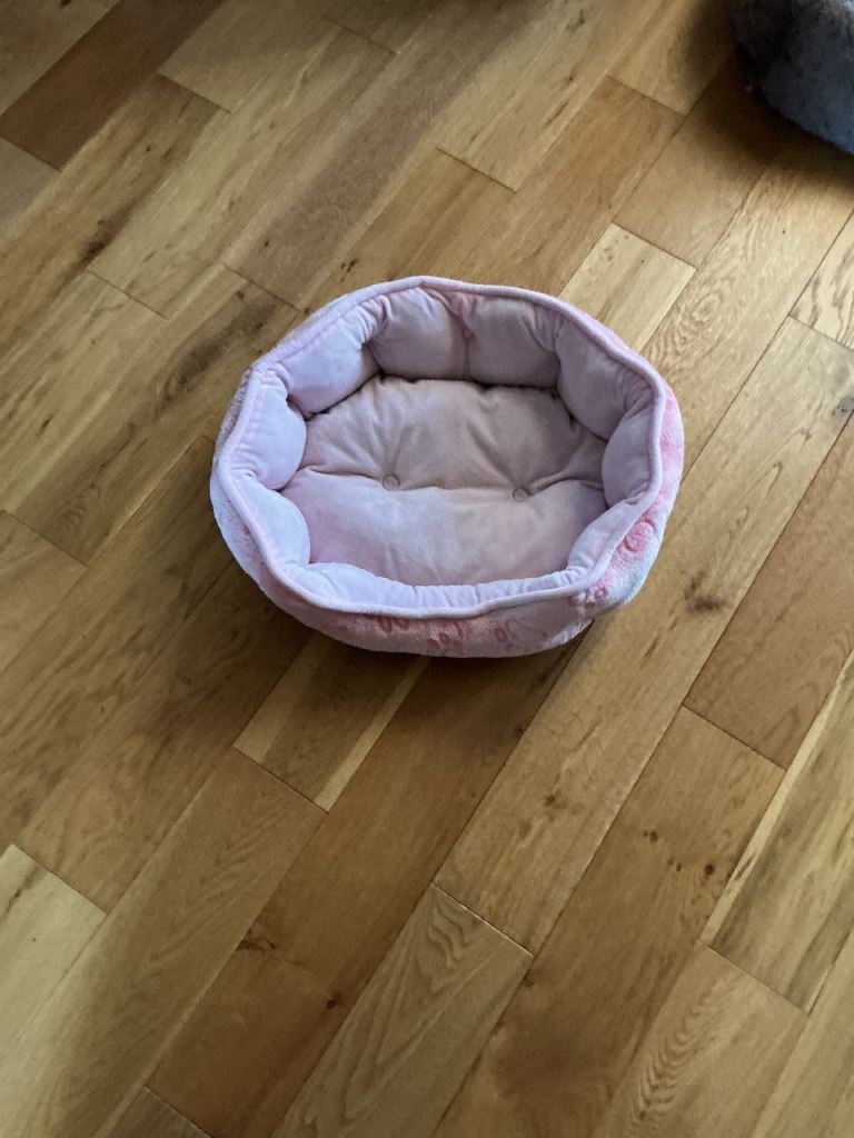Pink cat bed 