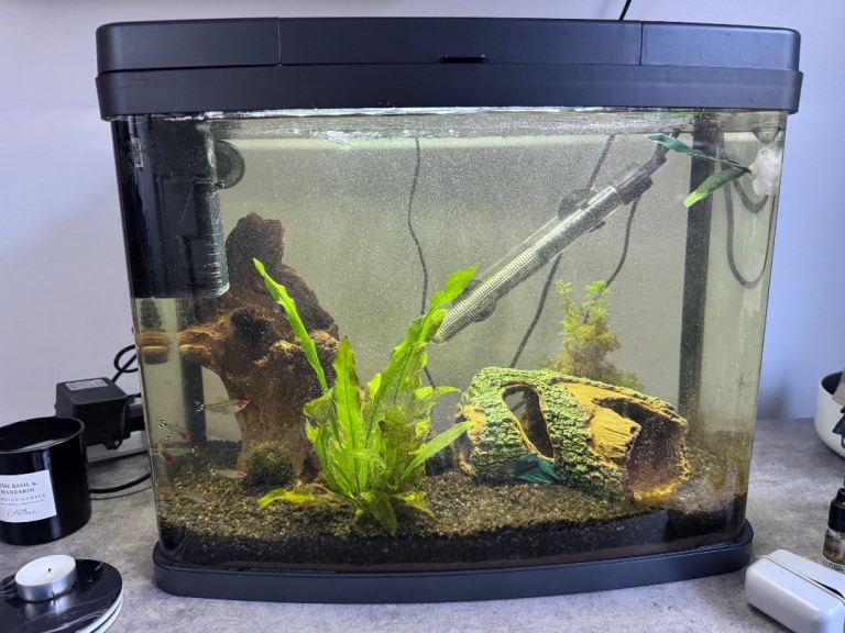 Tropical fish tank 60 L