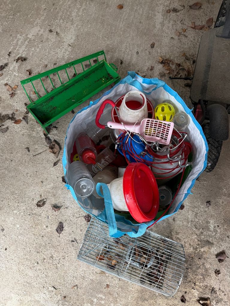 Rabbit and chicken feeders and drinkers