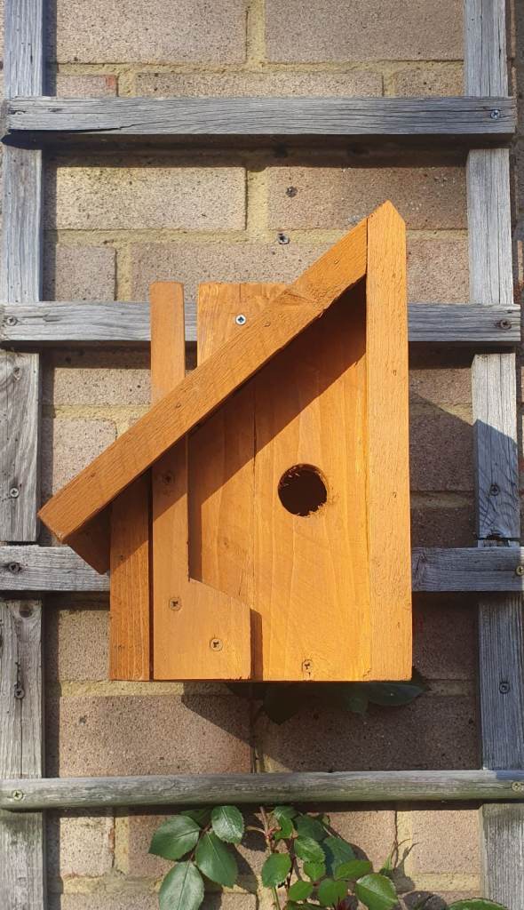 Wild bird nesting box. Cabin style