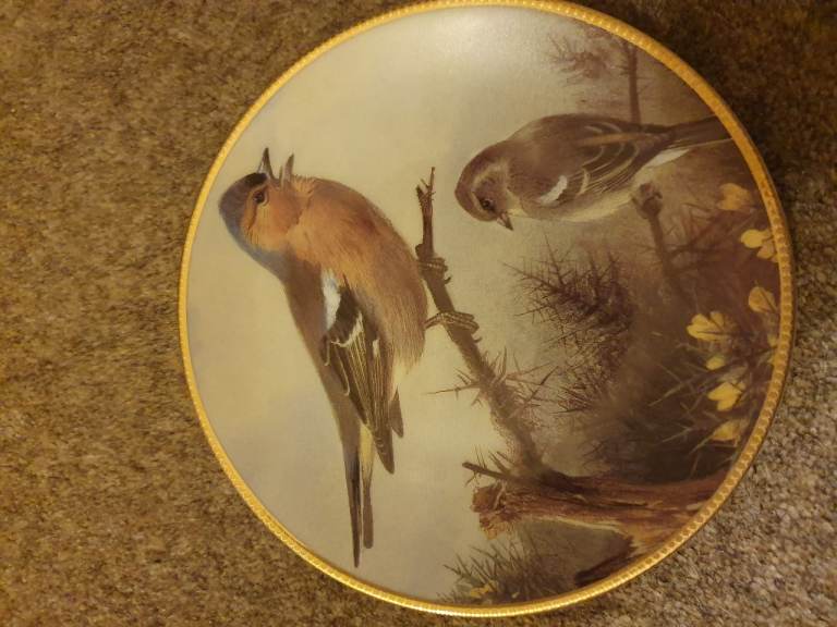 Davenport Decorative Collector's Plates with Bird Designs