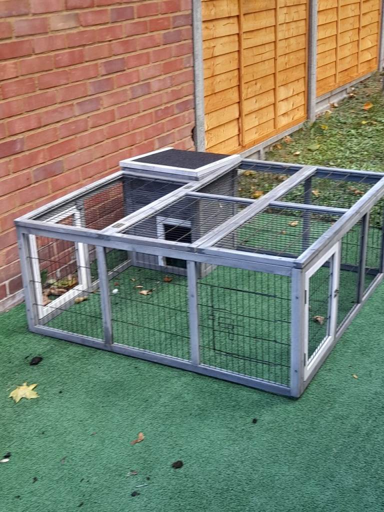 Guinea pig rabbit run