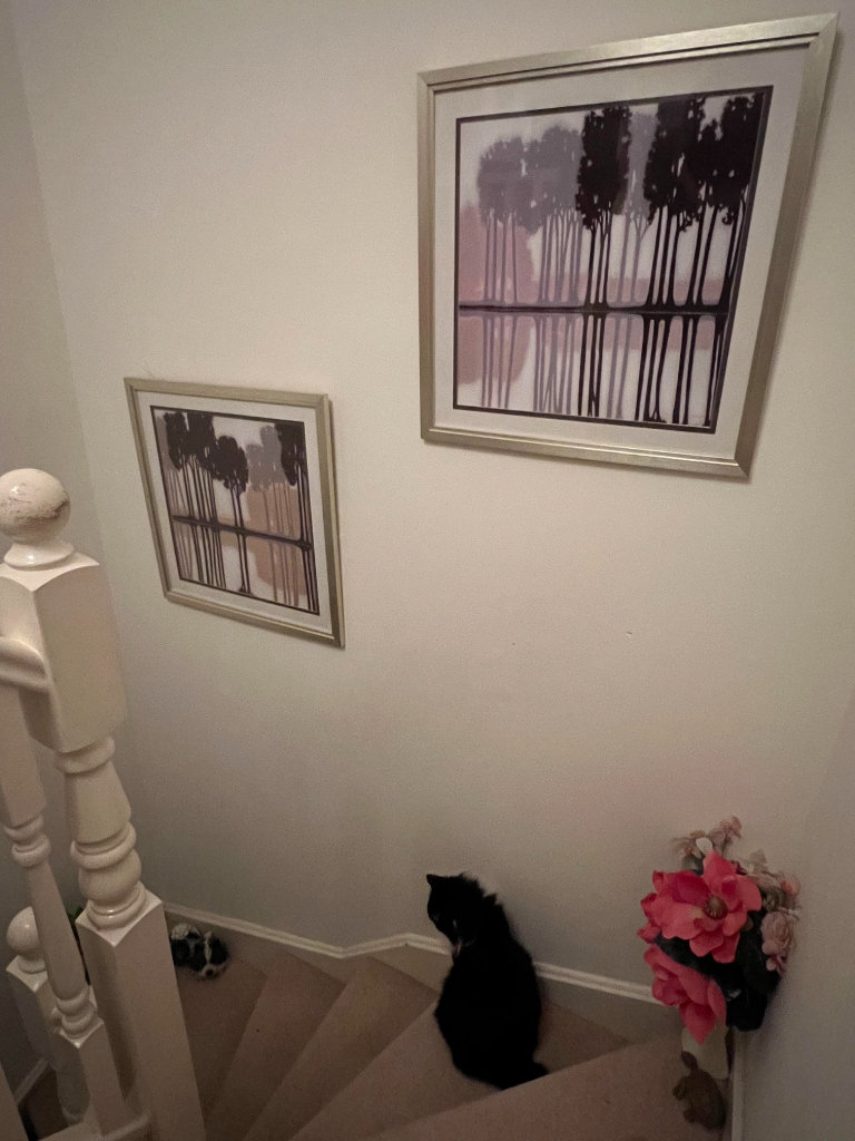 PAIR OF LARGE MODERN ARTY PICTURES IN LOVELY GOLD FRAMES 