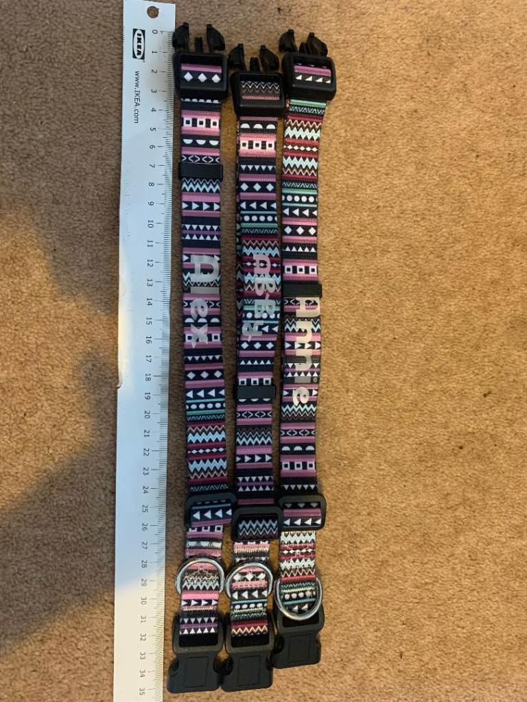 Bundle of Dog Collars – Adjustable