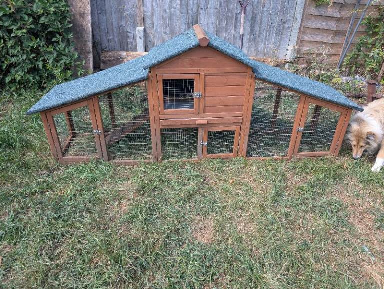 Chicken Coop