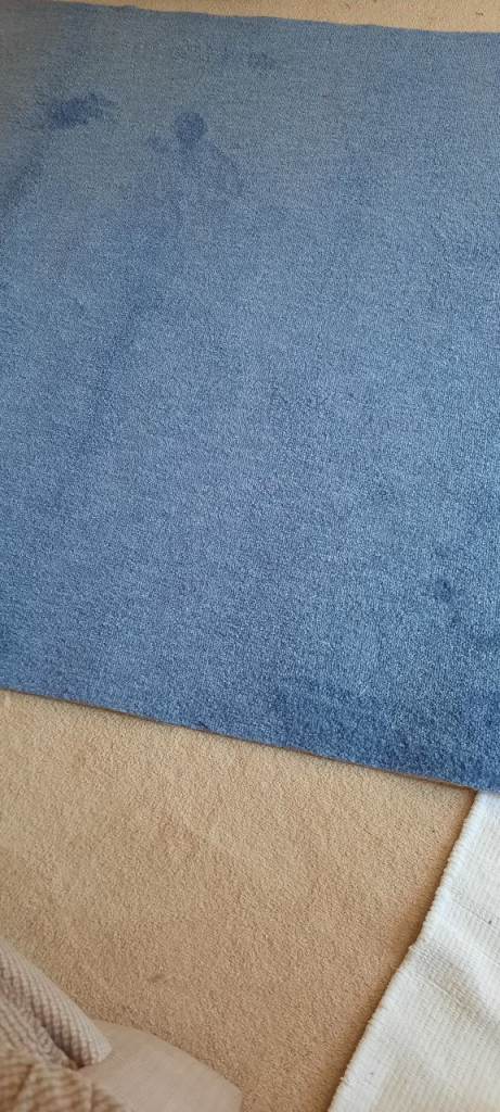 FREE  Blue carpet / rug