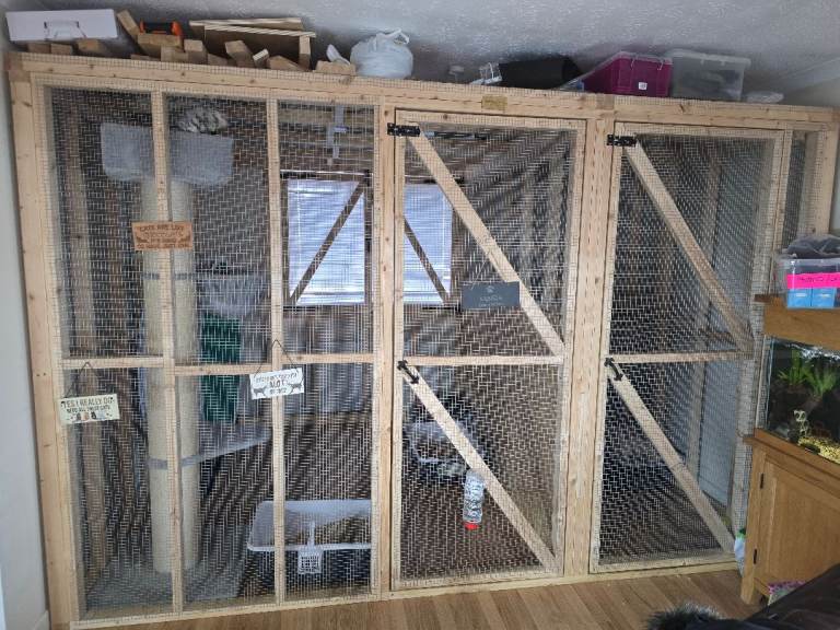 Huge catio indoor or outdoor just over 10ft x 8ft 