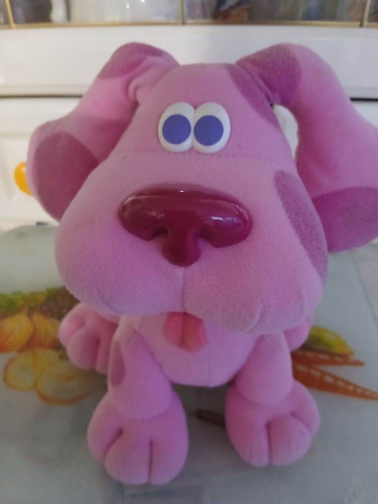 A Fisher Price Bounce Pooch